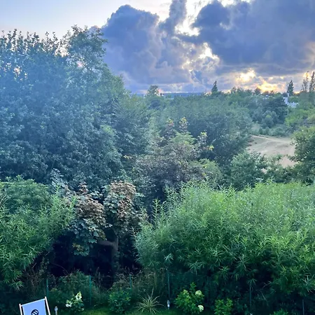 Mistral Jastrzębia Góra