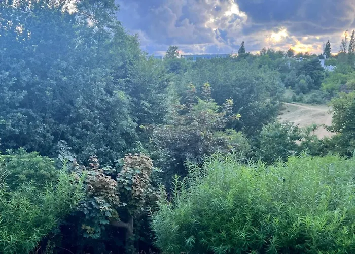 Mistral Jastrzębia Góra